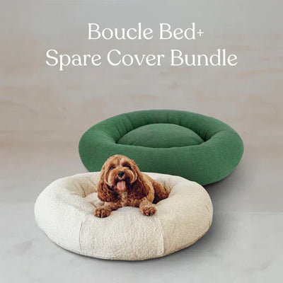 Boucle Dog Bed & Cover Bundle