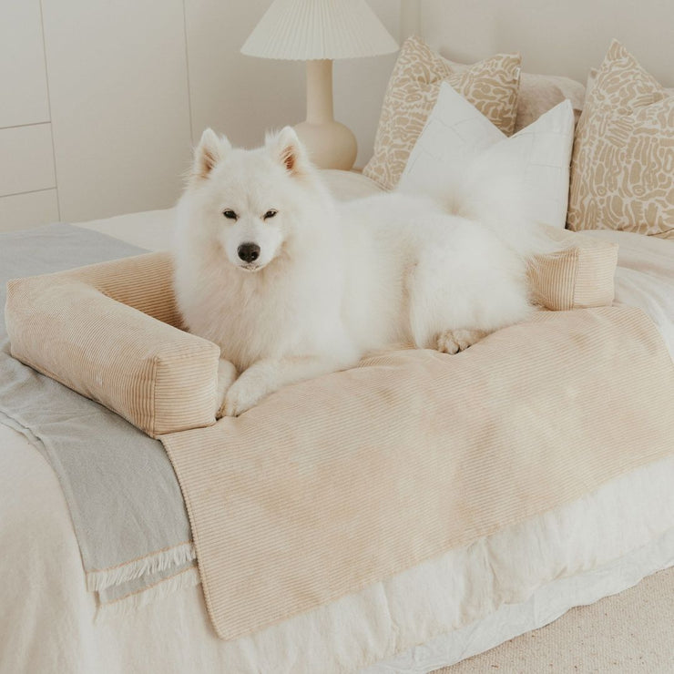 Deluxe Dog Couch Bed