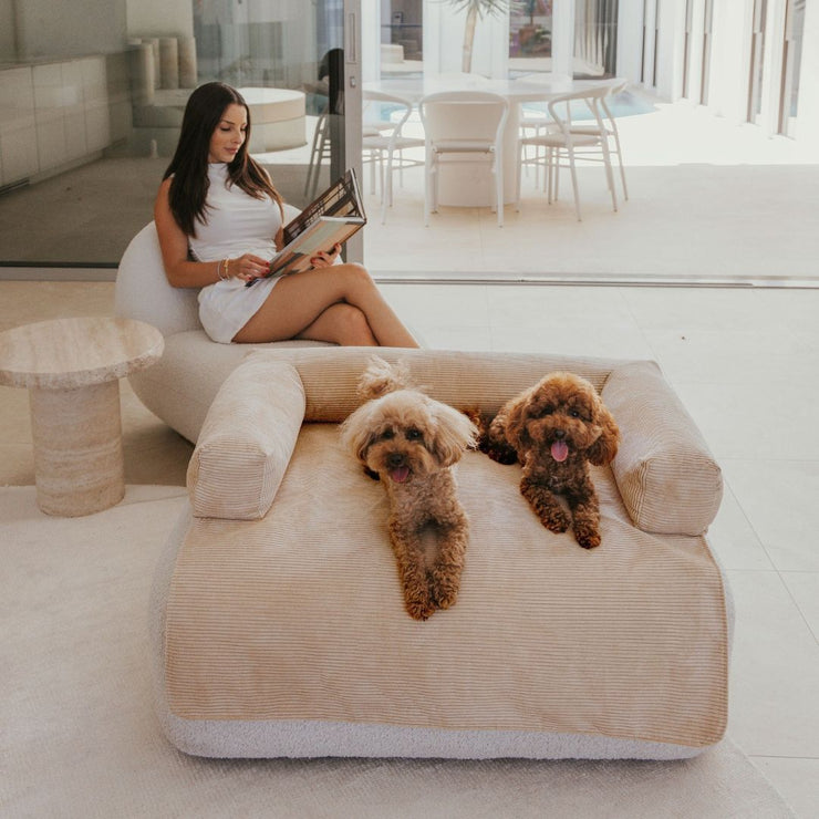 Deluxe Dog Couch Bed