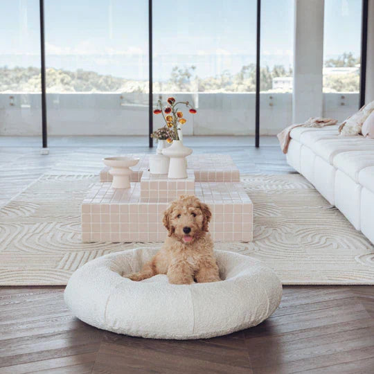 Boucle Dog Bed & Cover Bundle