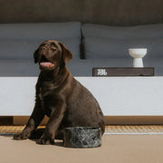 Premium Marble Dog Bowl