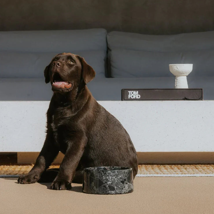 Premium Marble Dog Bowl