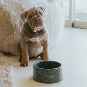 Premium Marble Dog Bowl