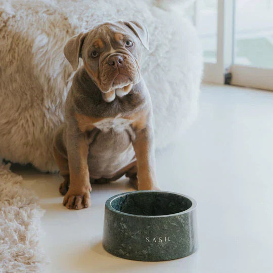 Premium Marble Dog Bowl