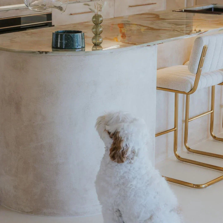 Premium Marble Dog Bowl